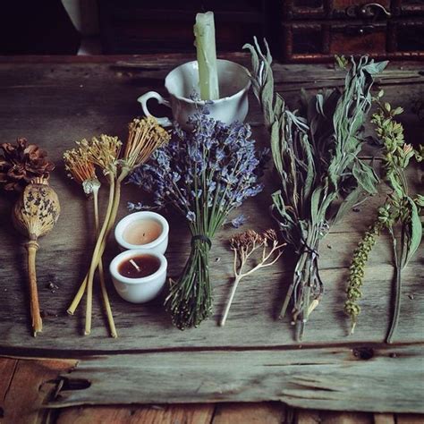 Manual for the herb loving witch